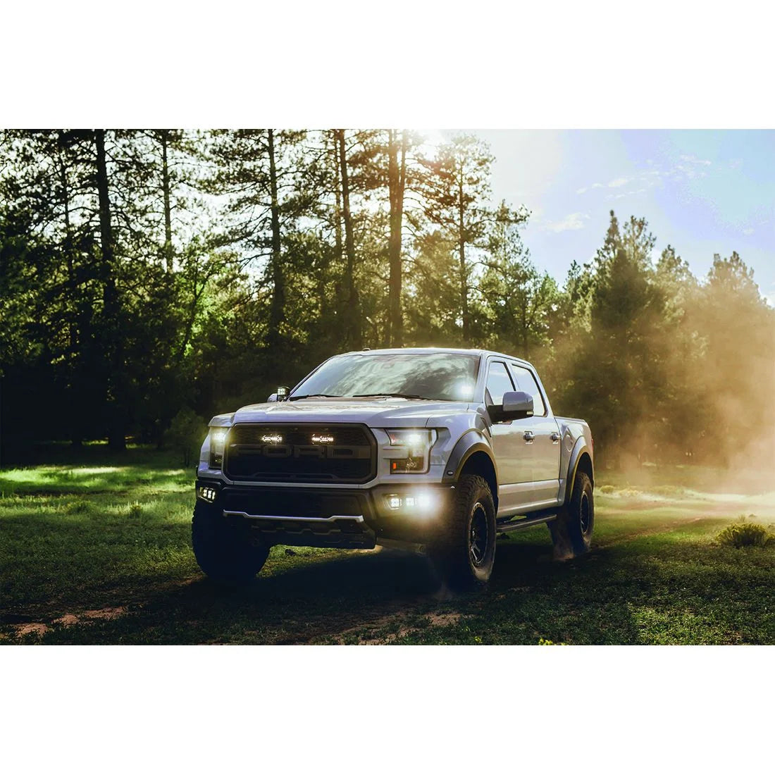 Rigid D-Series PRO Specter Driving Flush Mount Black 2 Lights