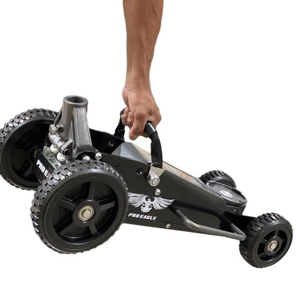 Pro Eagle Grab Handle