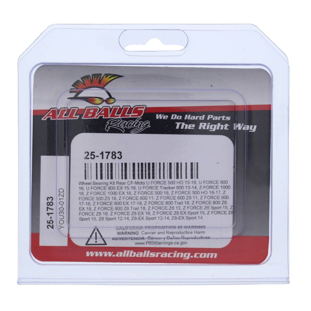 All Balls Racing '17 CF-Moto ZForce Z8 Front Wheel Bearing Kit
