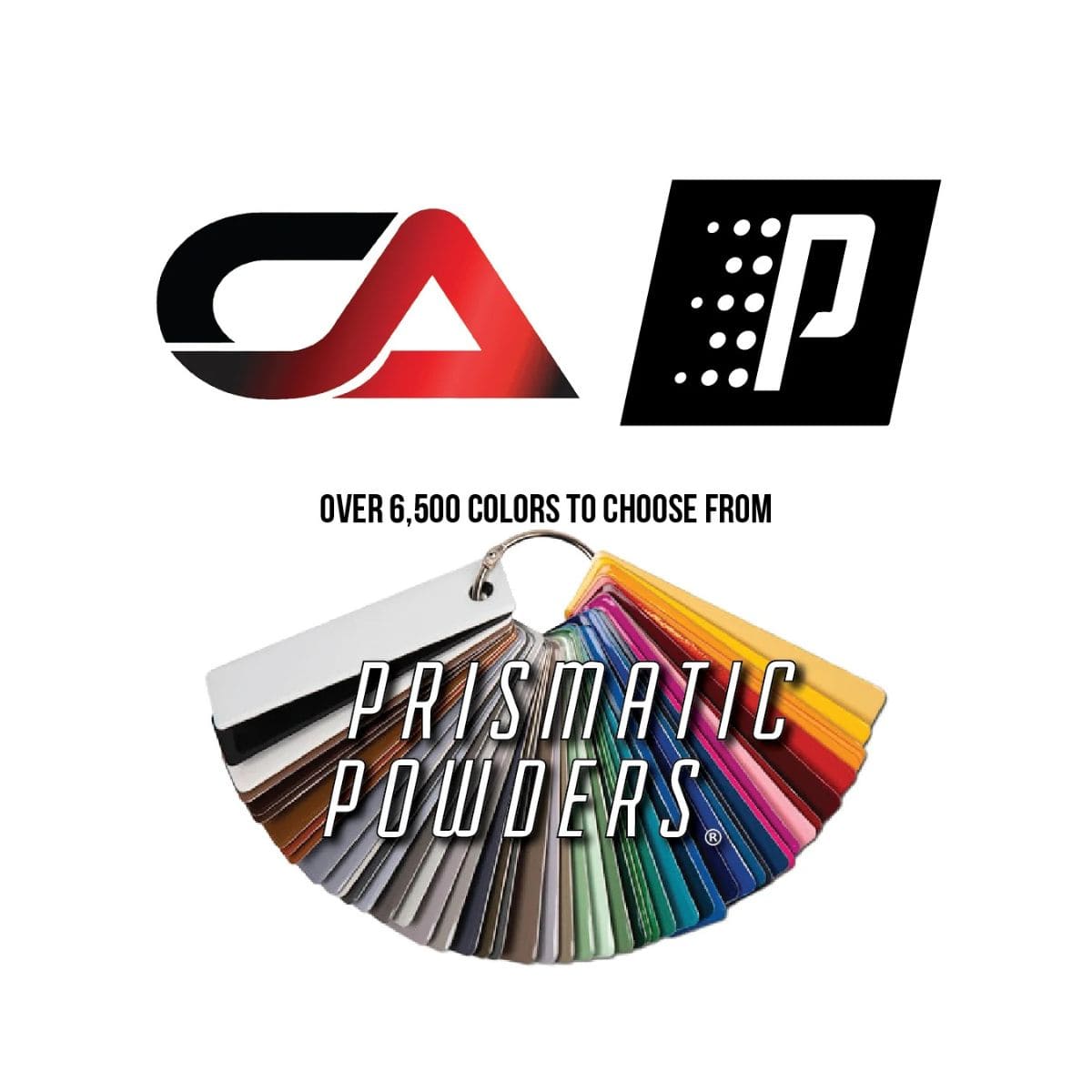 CA Technologies Polaris RZR Pro R Rear Mud Guards