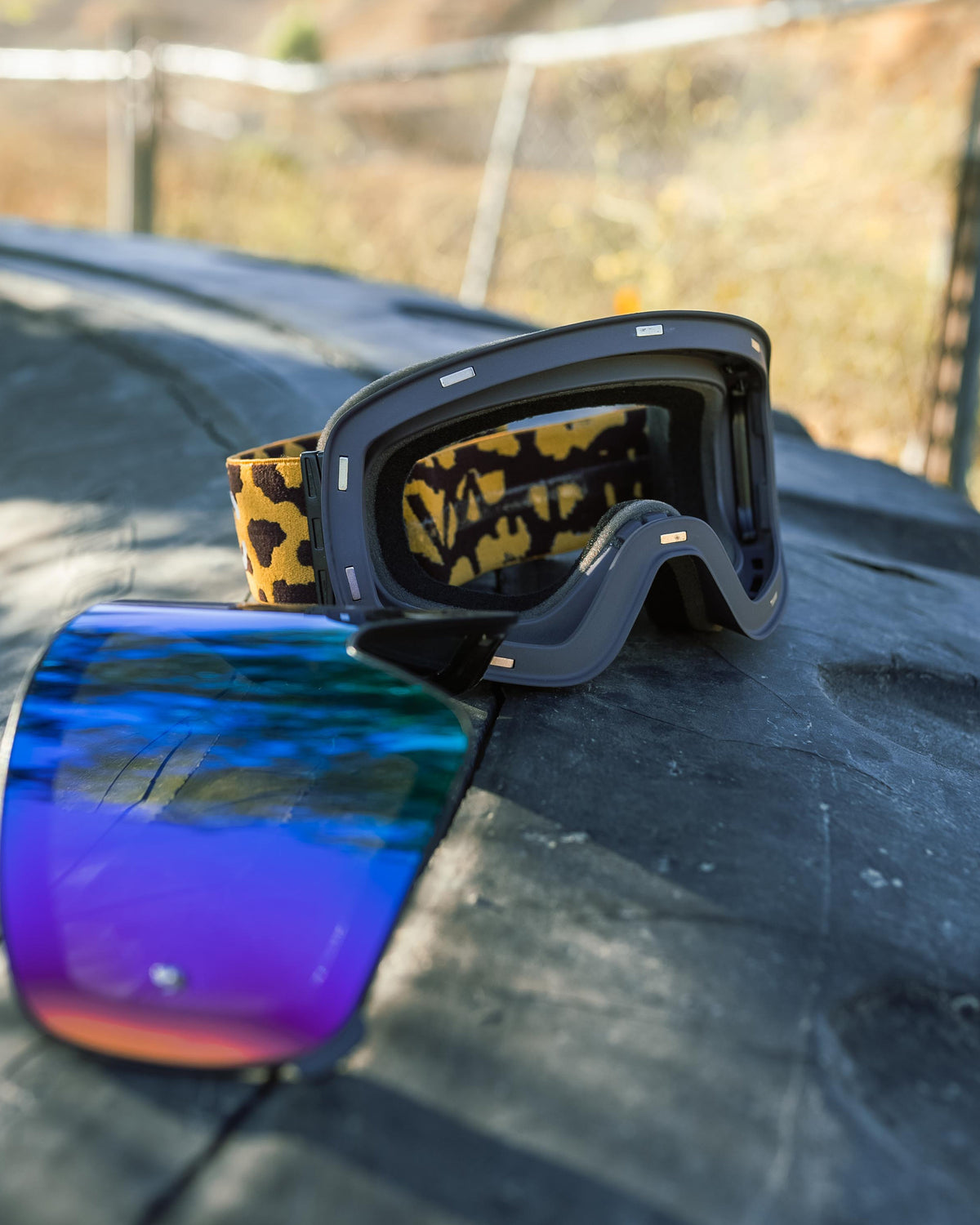 Havoc Cheetah