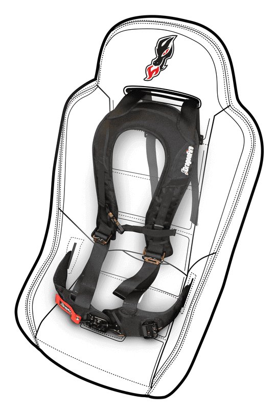 DragonFire EVO 4 Point 2" Harness