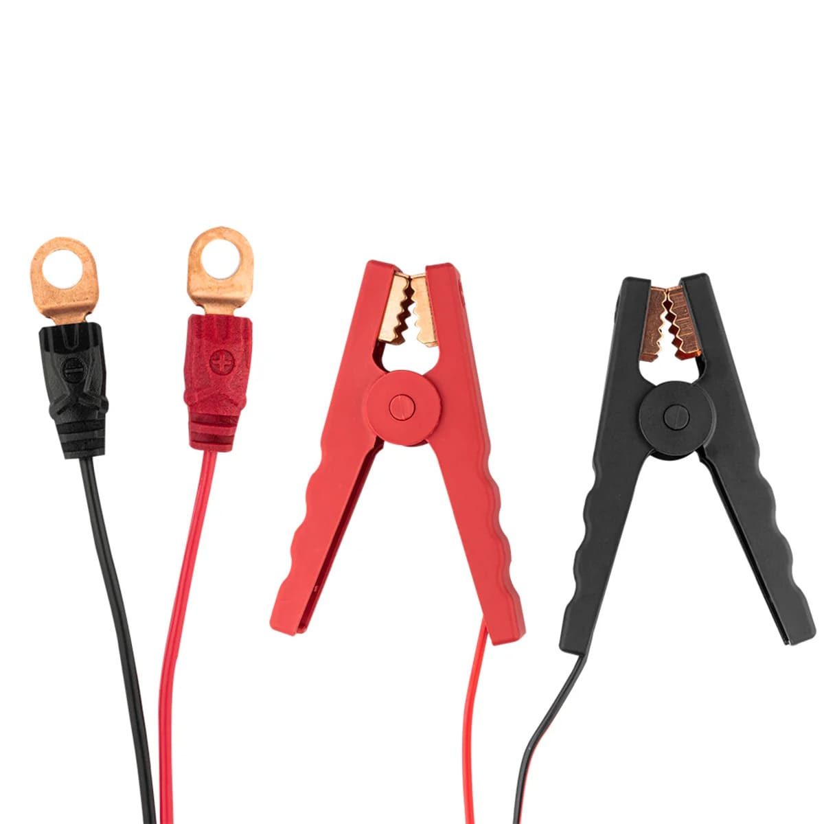 DS18 15 AMP Automatic Smart Lithium & AGM Car Battery Charger & Maintainer