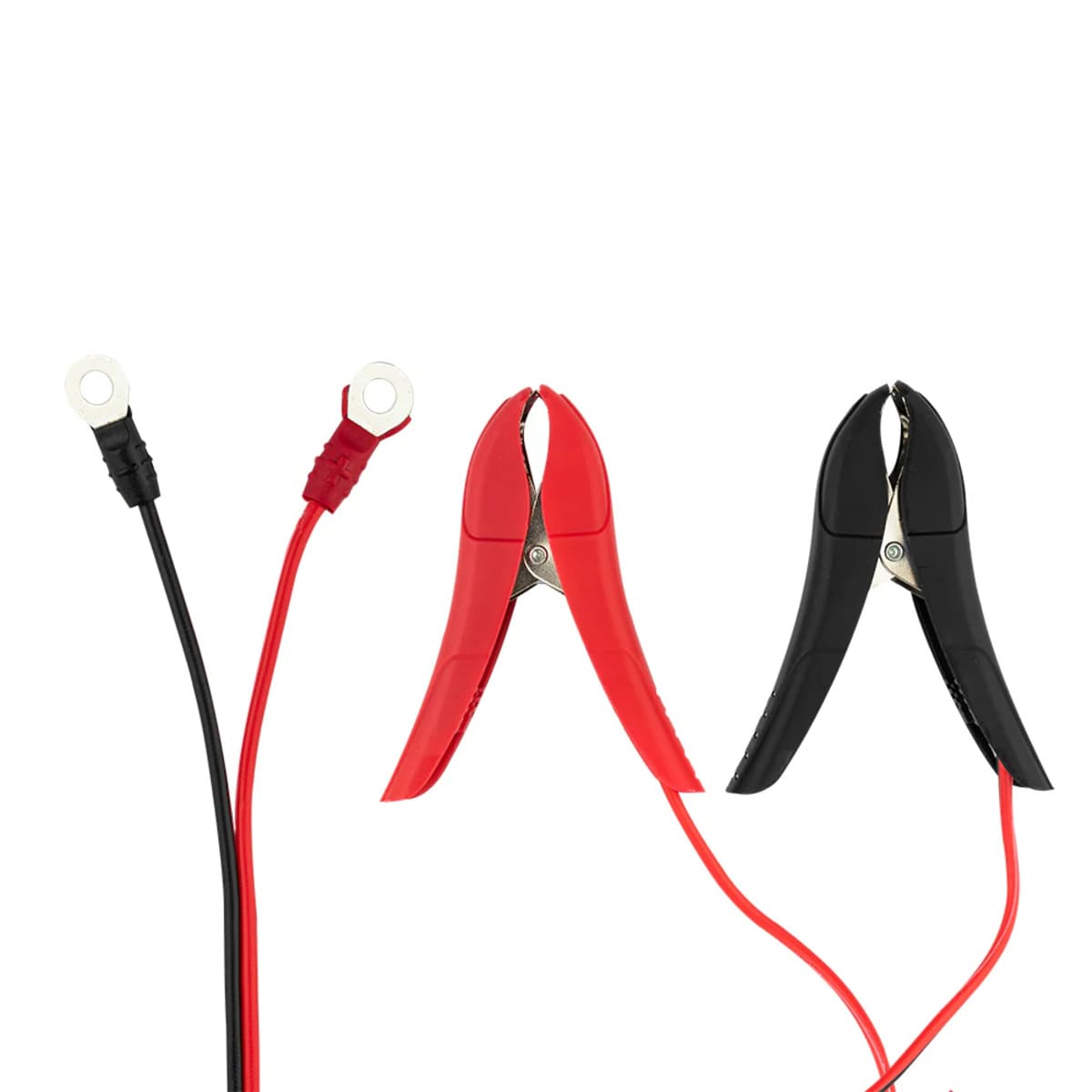 DS18 4 X 1.5 AMP Automatic Smart Lithium & AGM Battery Charger & Maintainer