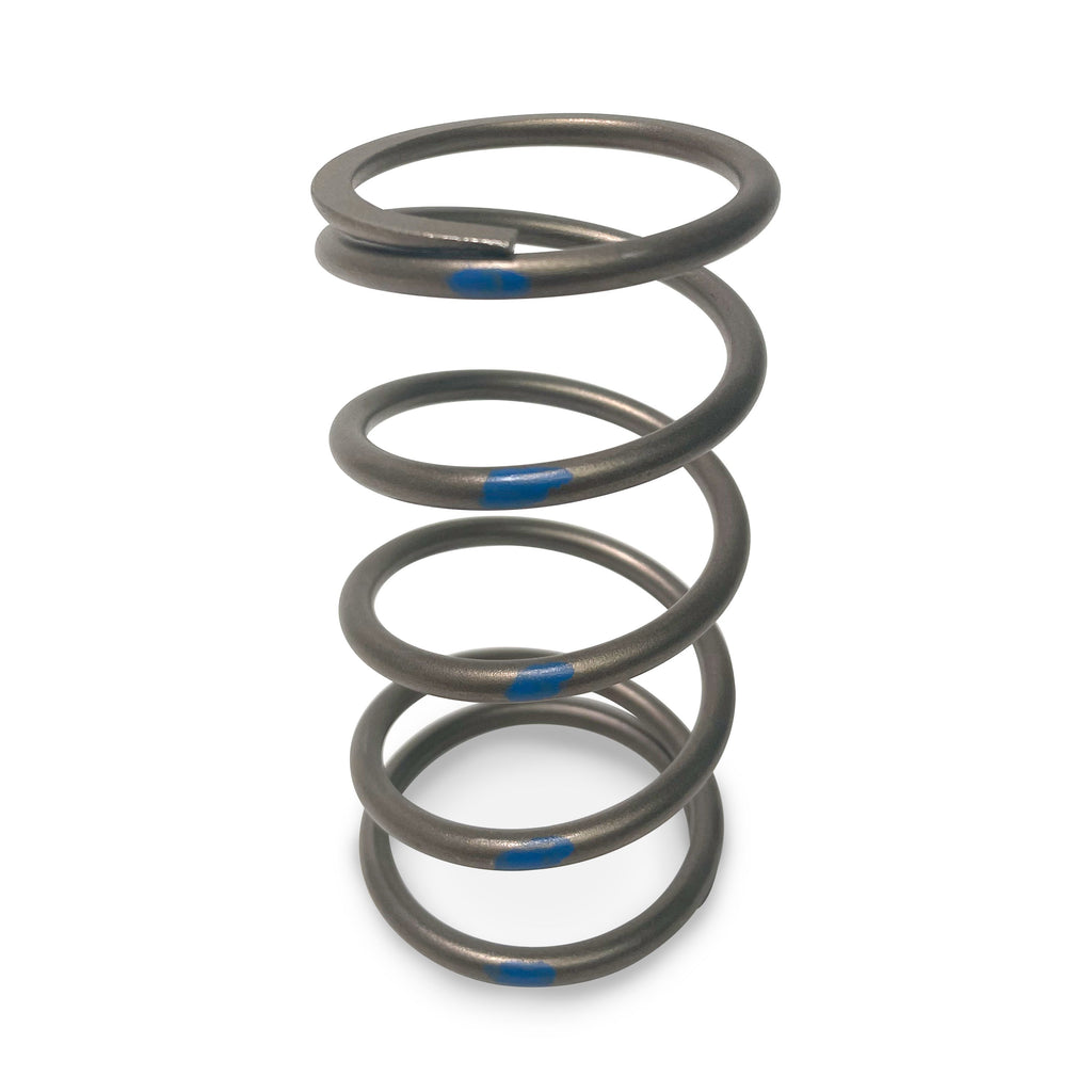 EVO TAPP Primary Clutch Springs