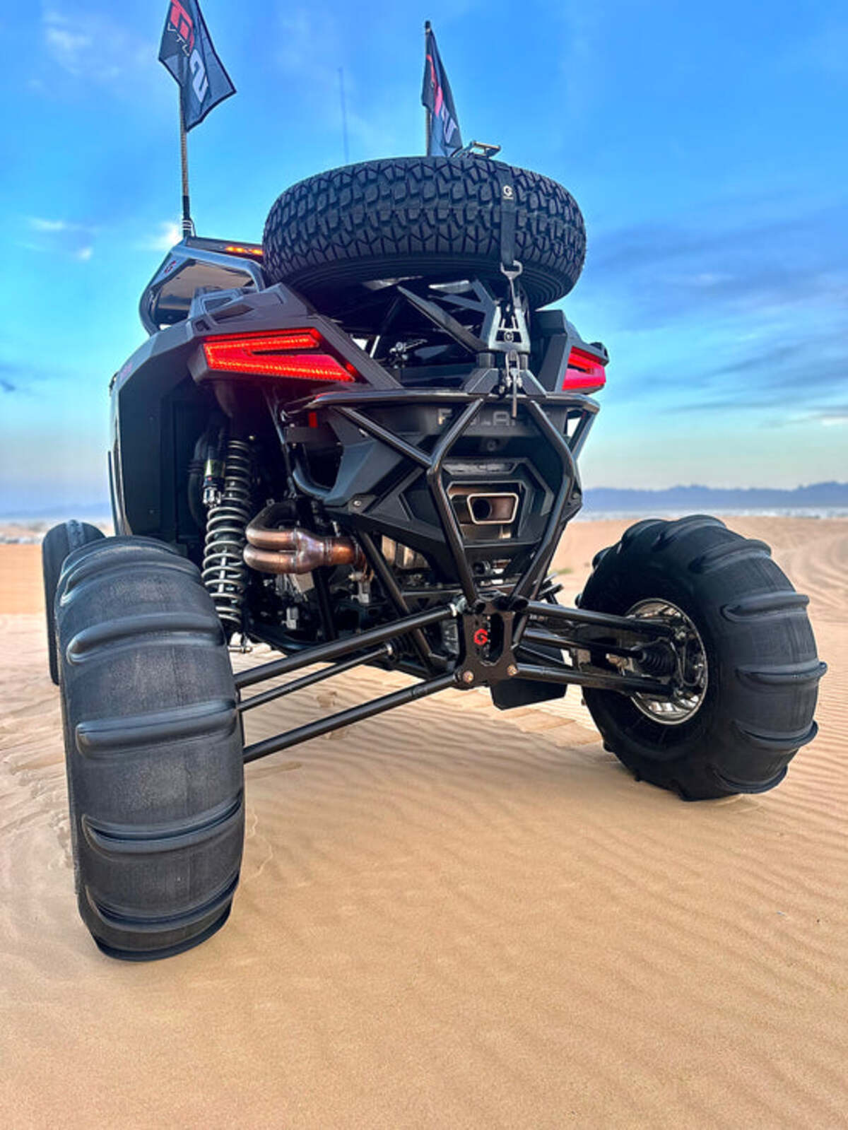 Geiser Performance Polaris RZR Pro R Rear Bumper Tire Carrier Combo