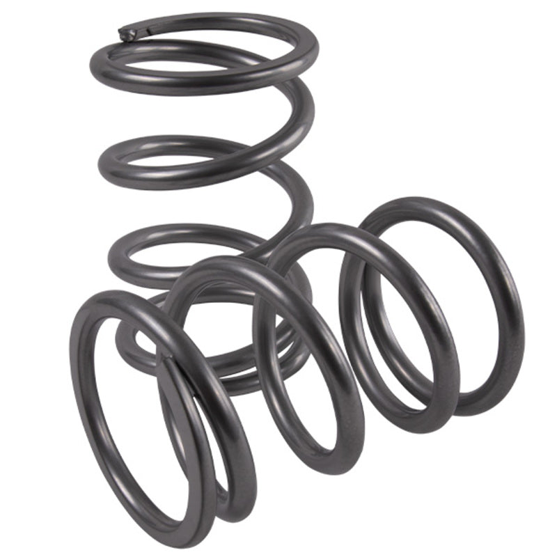 High Lifter Polaris RZR S 900/1000 Rear Tender Spring Kit