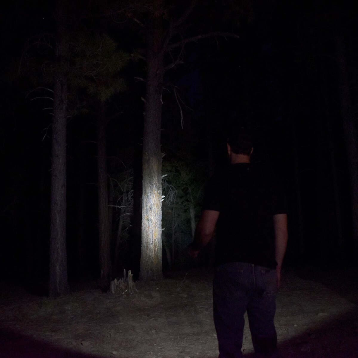 Litt Industries 2-6 Cell 350 Lumen C/D Model Upgrade Maglight LED Bulb & Lens Kit