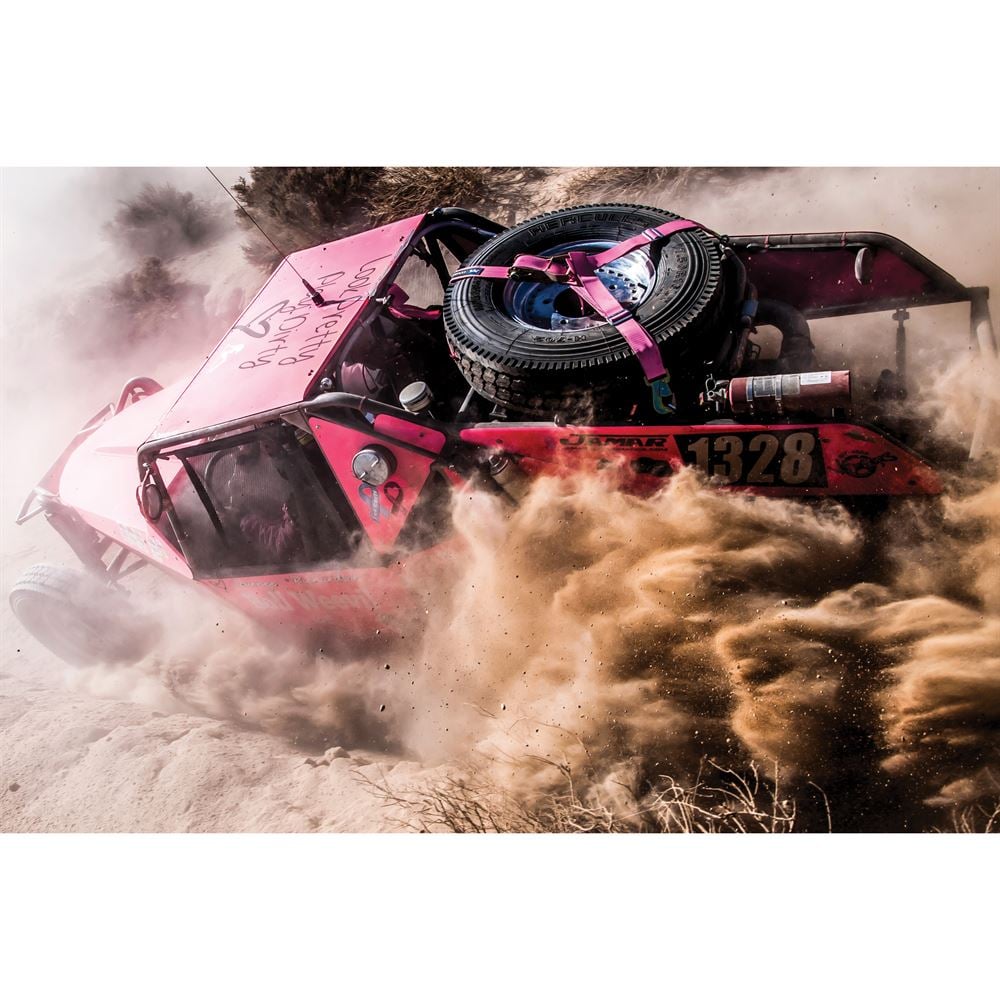 Mac's Tie Downs 35" to 40" Y-Strap with Flat Snap Hook