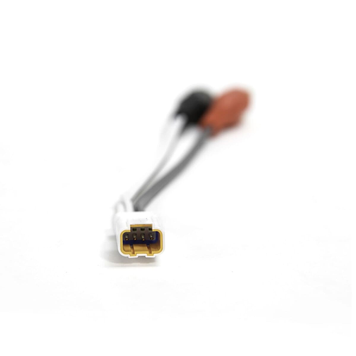 MB Quart Polaris JSTFRCA2M Female JST to Male RCA Adapter