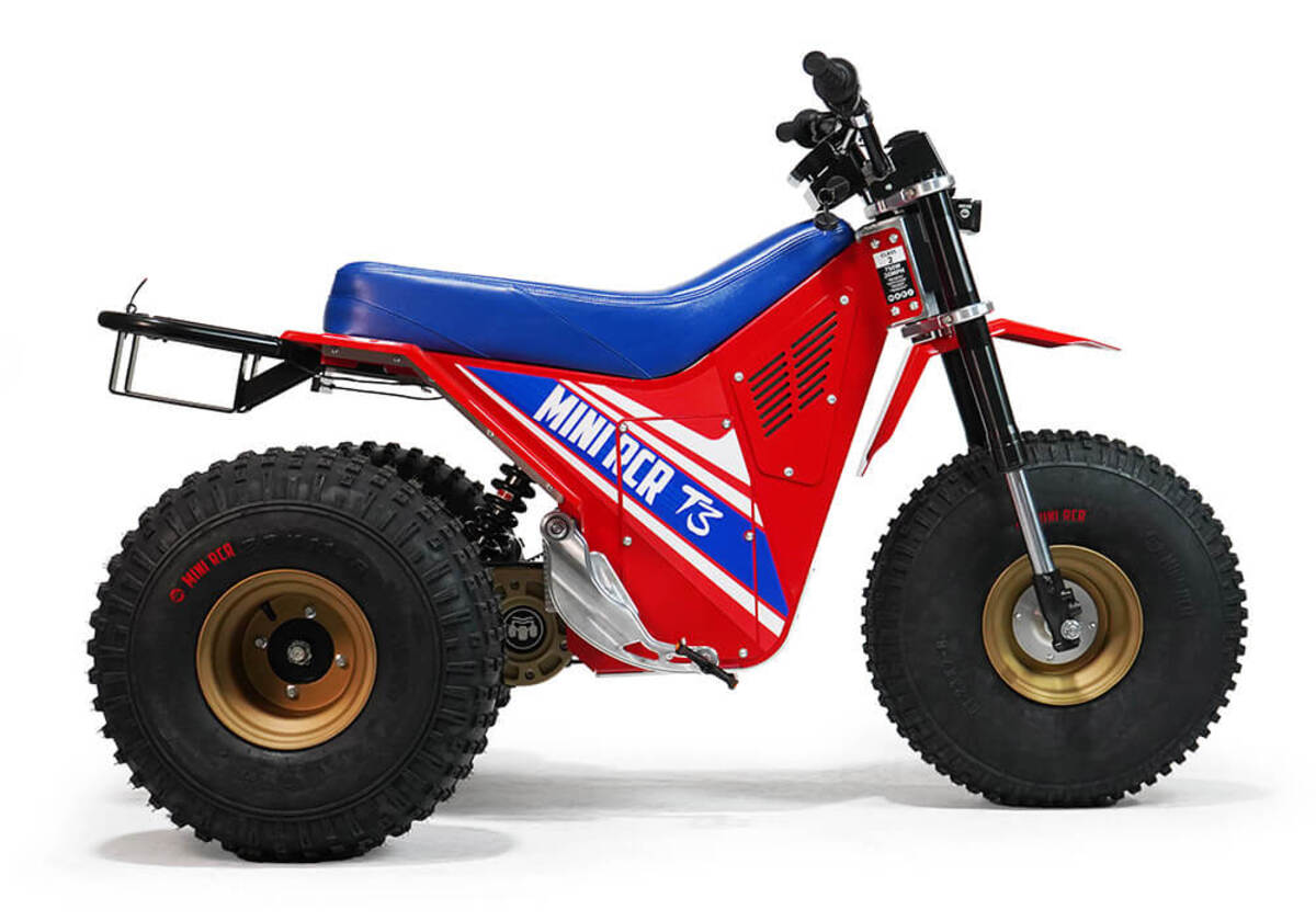Mini RCR T3 Three Wheeler Electric Bike 250R Special Edition