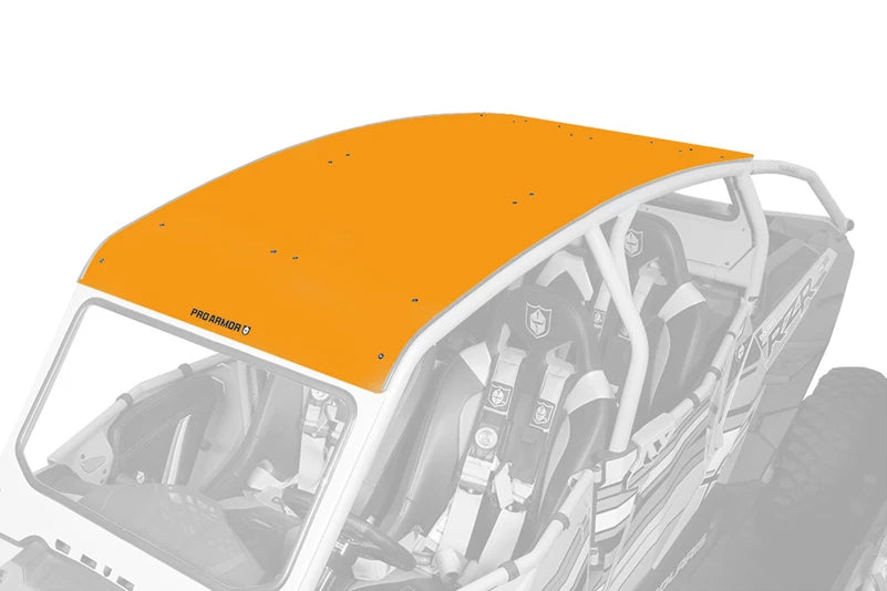 Pro Armor Polaris RZR XP4 1000 Asylum Aluminum Roof