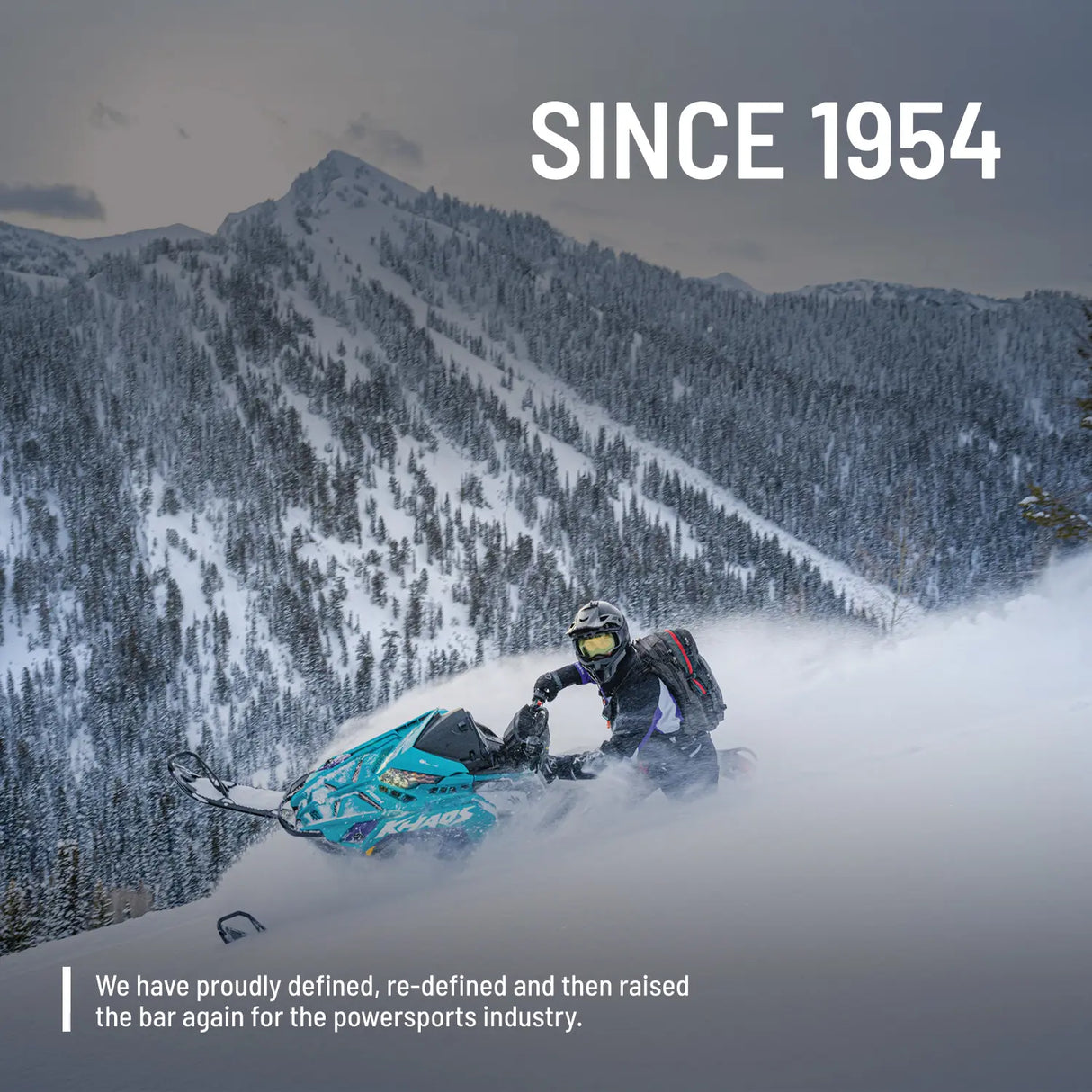 Polaris General 1000 Power Small Engine Oil