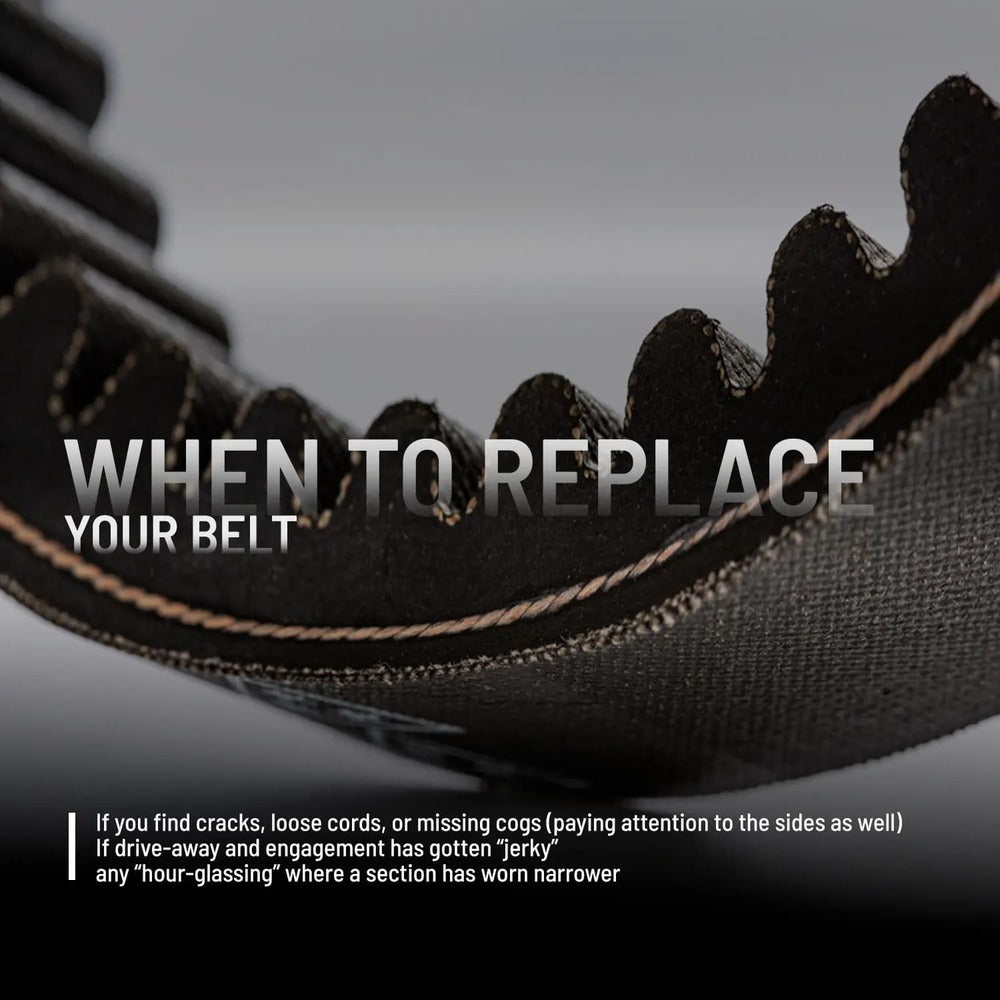 Polaris ORV Drive Belt