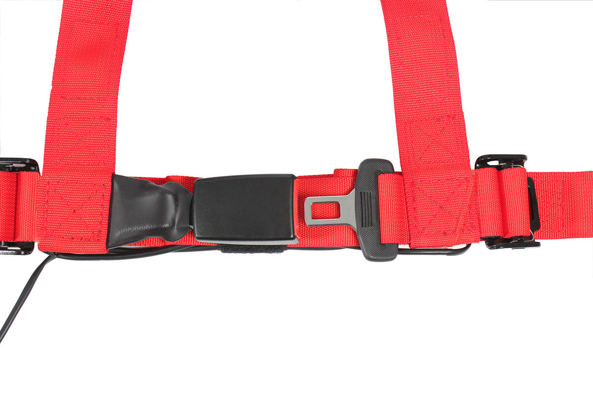 Pro Armor 4 Point 2" Auto-Style Harness - Driver Side