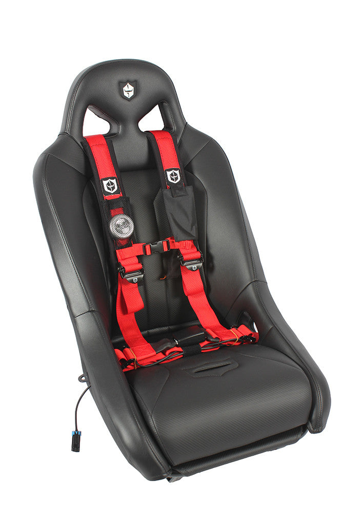 Pro Armor 4 Point 2" Auto-Style Harness - Driver Side