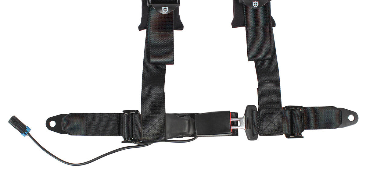 Pro Armor 4 Point 2" Auto-Style Harness - Driver Side