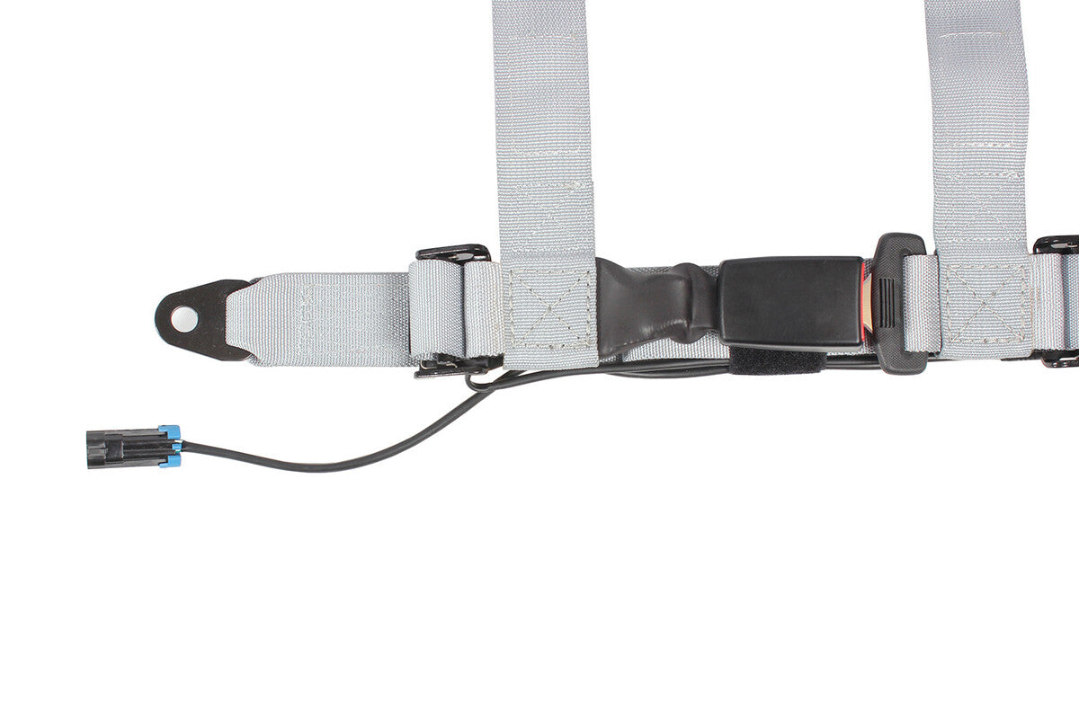 Pro Armor 4 Point 2" Auto-Style Harness - Driver Side