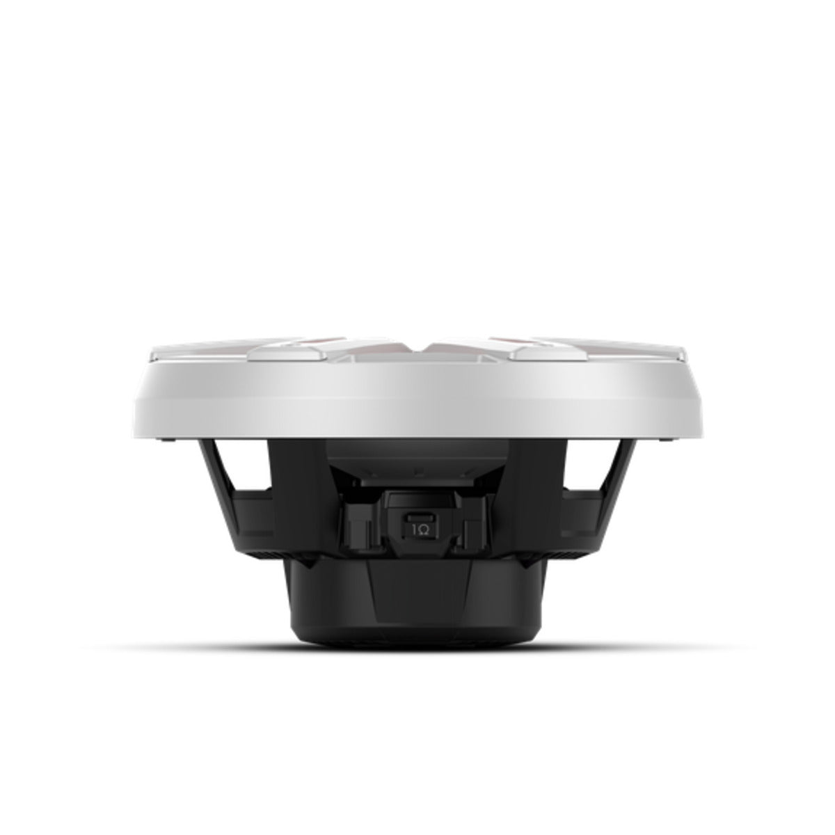 Rockford Fosgate M2 10" DVC 2Ω Color Optix Sealed Enclosure Marine Subwoofer