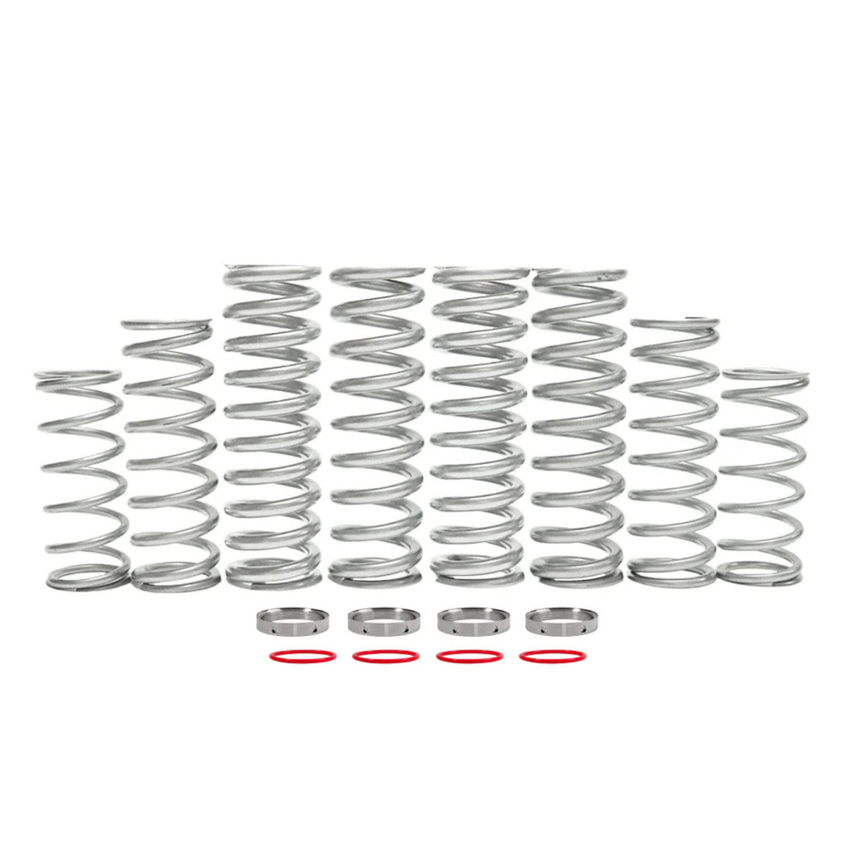 Shock Therapy '24+ Polaris RZR XP Dual Rate Spring Kit