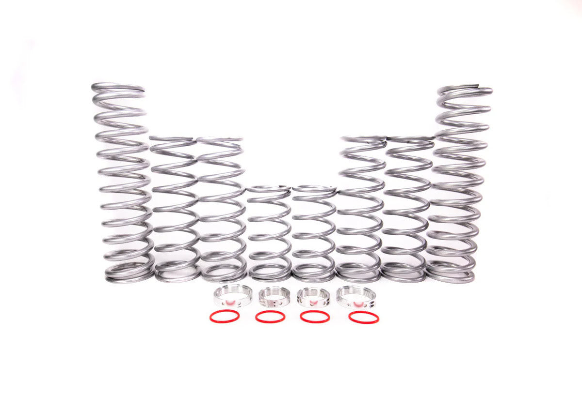 Shock Therapy Polaris RZR RS1 Dual Rate Spring Kit