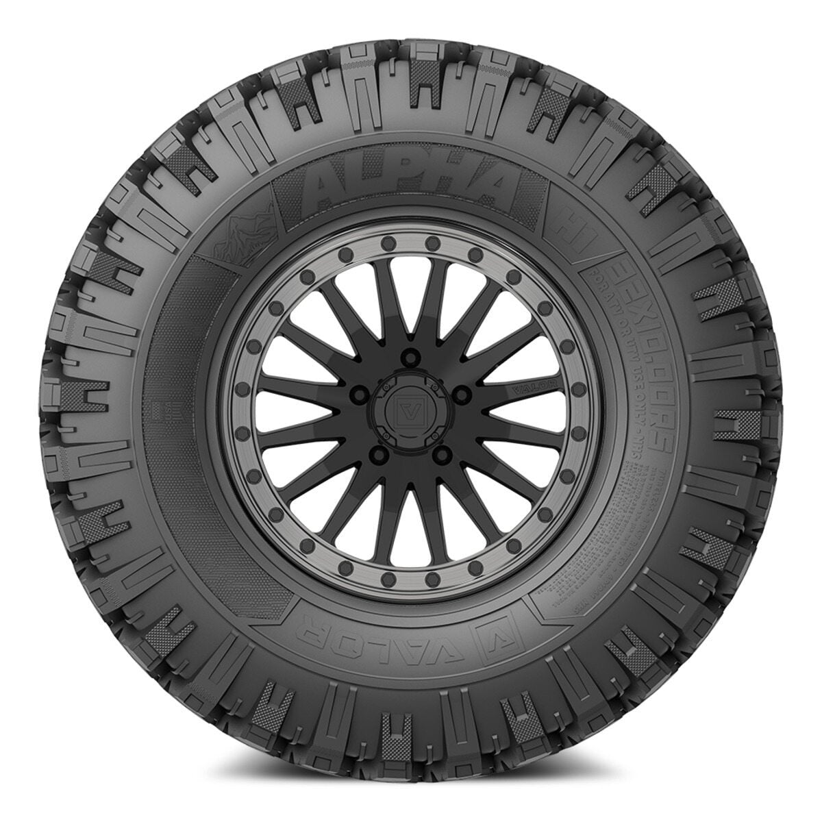 Valor Off-Road Alpha on V06 GB Wheel and Tire Kits