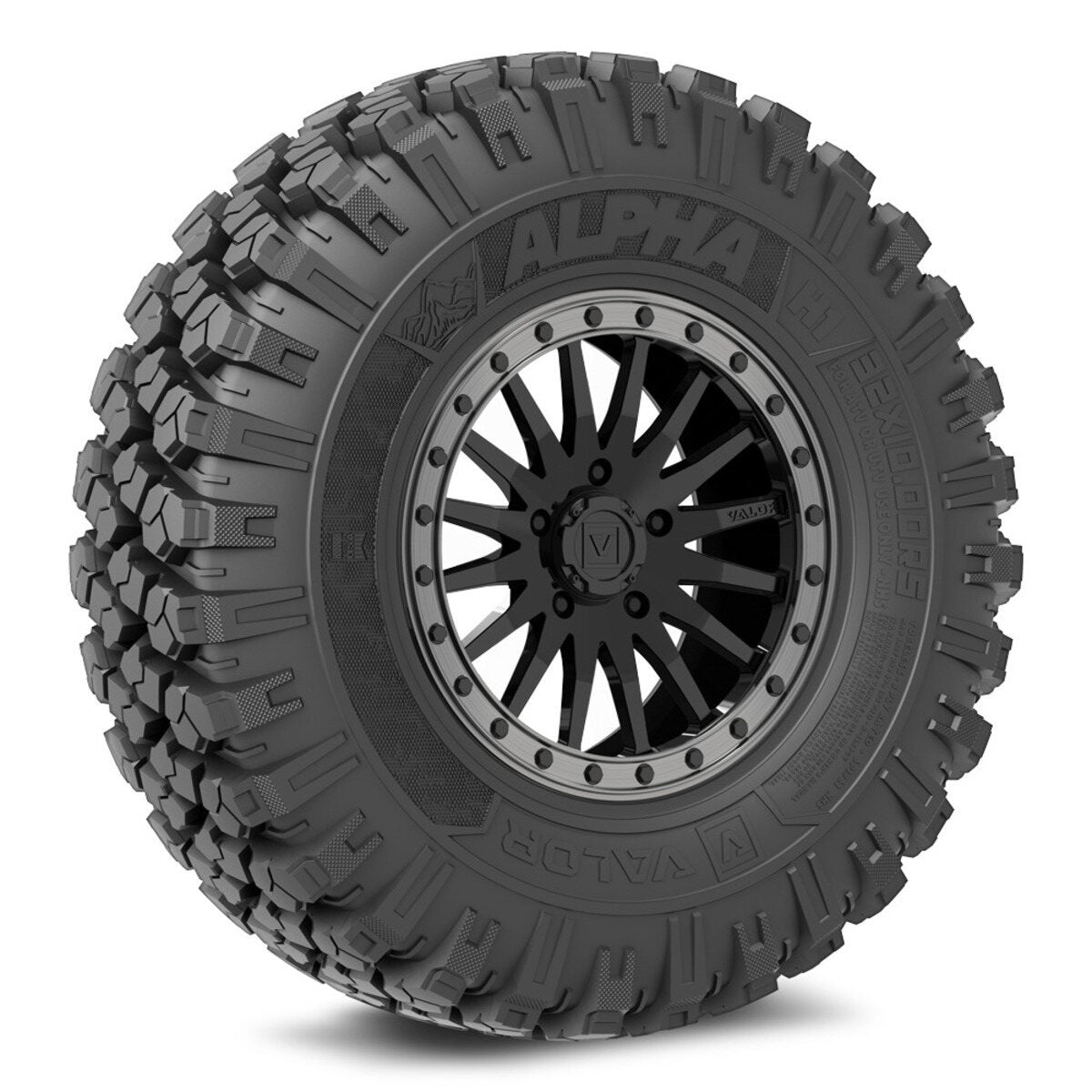 Valor Off-Road Alpha on V06 GB Wheel and Tire Kits