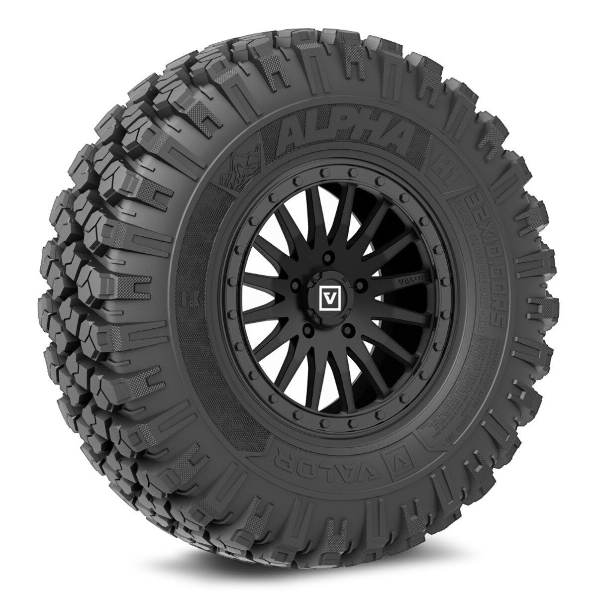 Valor Off-Road Alpha on V06 SB Wheel and Tire Kits