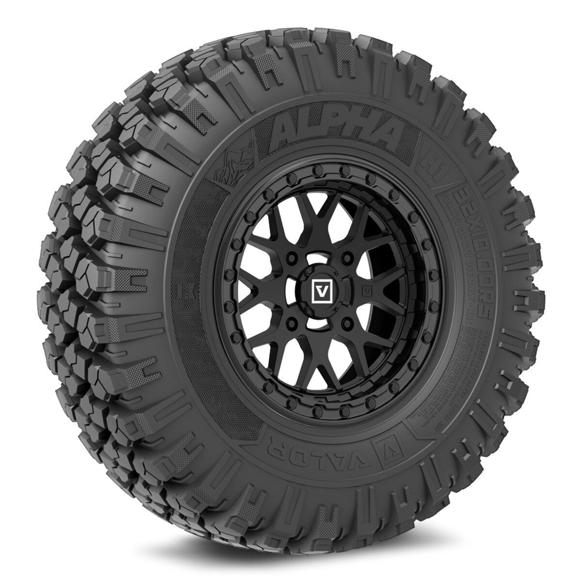 Valor Off-Road Alpha on V07 SB Wheel and Tire Kits