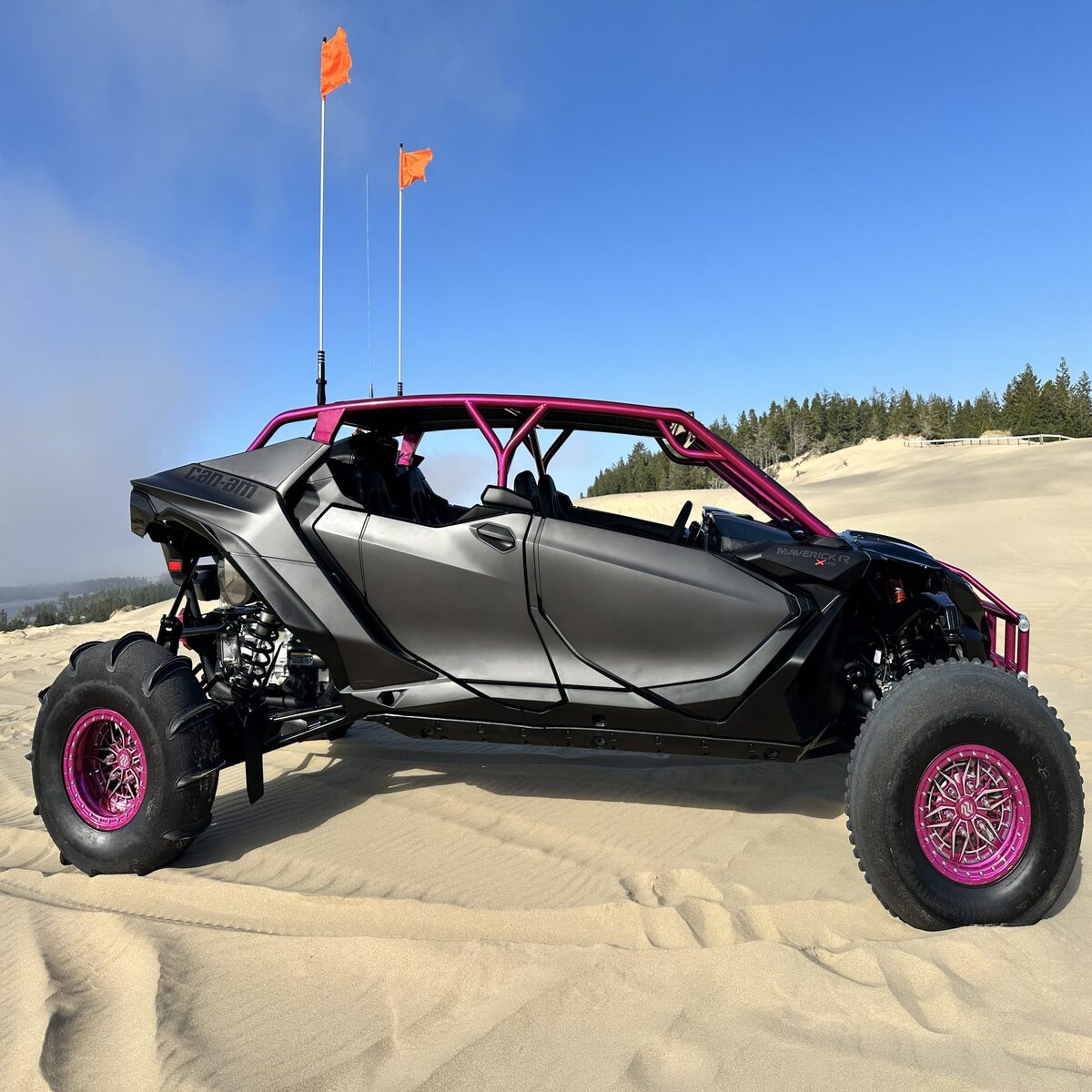Wicked Fabs Works Can-Am Maverick R Duner Cage - 4 Seat