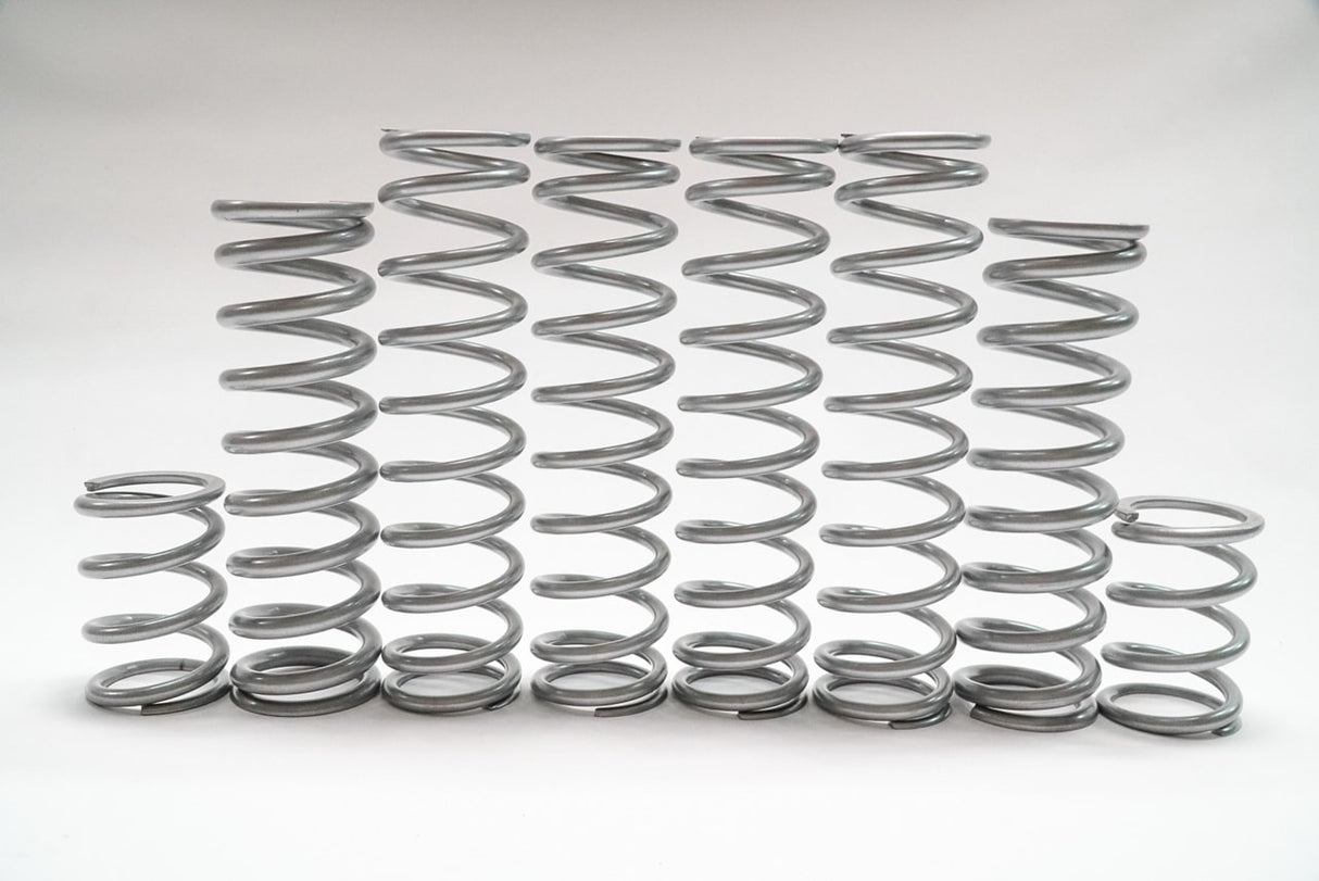 Shock Therapy Polaris Pro XP Dual Rate Spring Kit