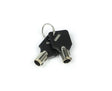 Weigh Safe Keys (Requires Key Code) - Set of 2 - WS09