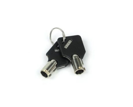 Weigh Safe Keys (Requires Key Code) - Set of 2 - WS09