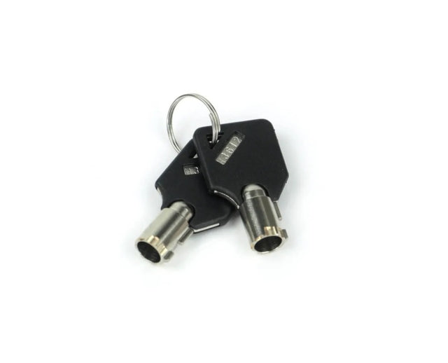 Weigh Safe Keys (Requires Key Code) - Set of 2 - WS09