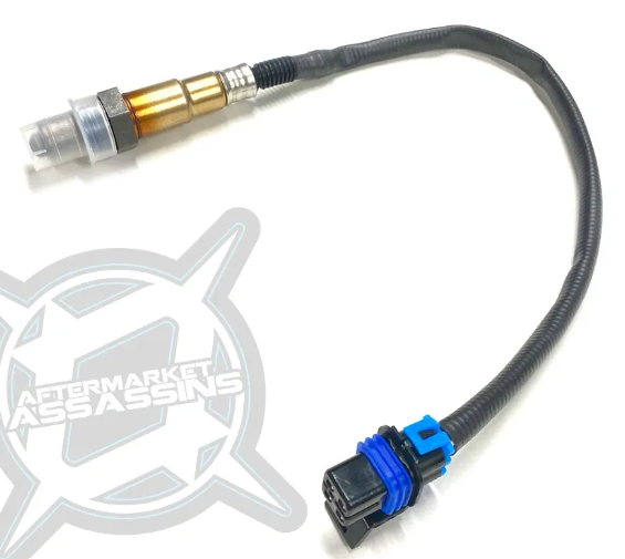 2018-24 RZR XP 1000 (Large Sensor), 2018-22 RS1 & Can Am X3 Replacement o2 Sensor