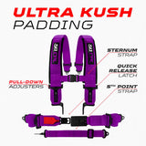 50 Cal SFI Approved 2" and  3" 5 point Harness, Racing Harness