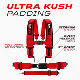 50 Cal SFI Approved 2" and  3" 5 point Harness, Racing Harness