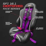50 Cal SFI Approved 2" and  3" 5 point Harness, Racing Harness