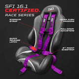 50 Cal SFI Approved 2" and  3" 5 point Harness, Racing Harness