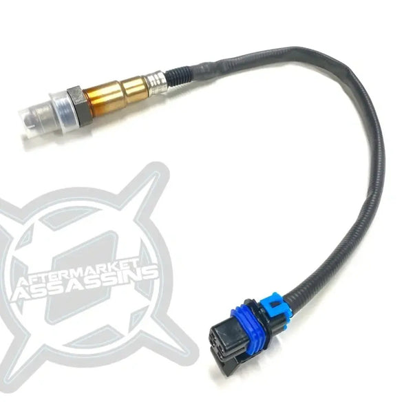 Aftermarket Assassins '18-'25 Polaris RZR XP 1000 Replacement Large O2