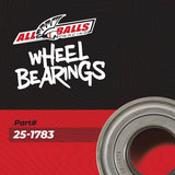 All Balls Racing '17 CF-Moto ZForce Z8 Front Wheel Bearing Kit