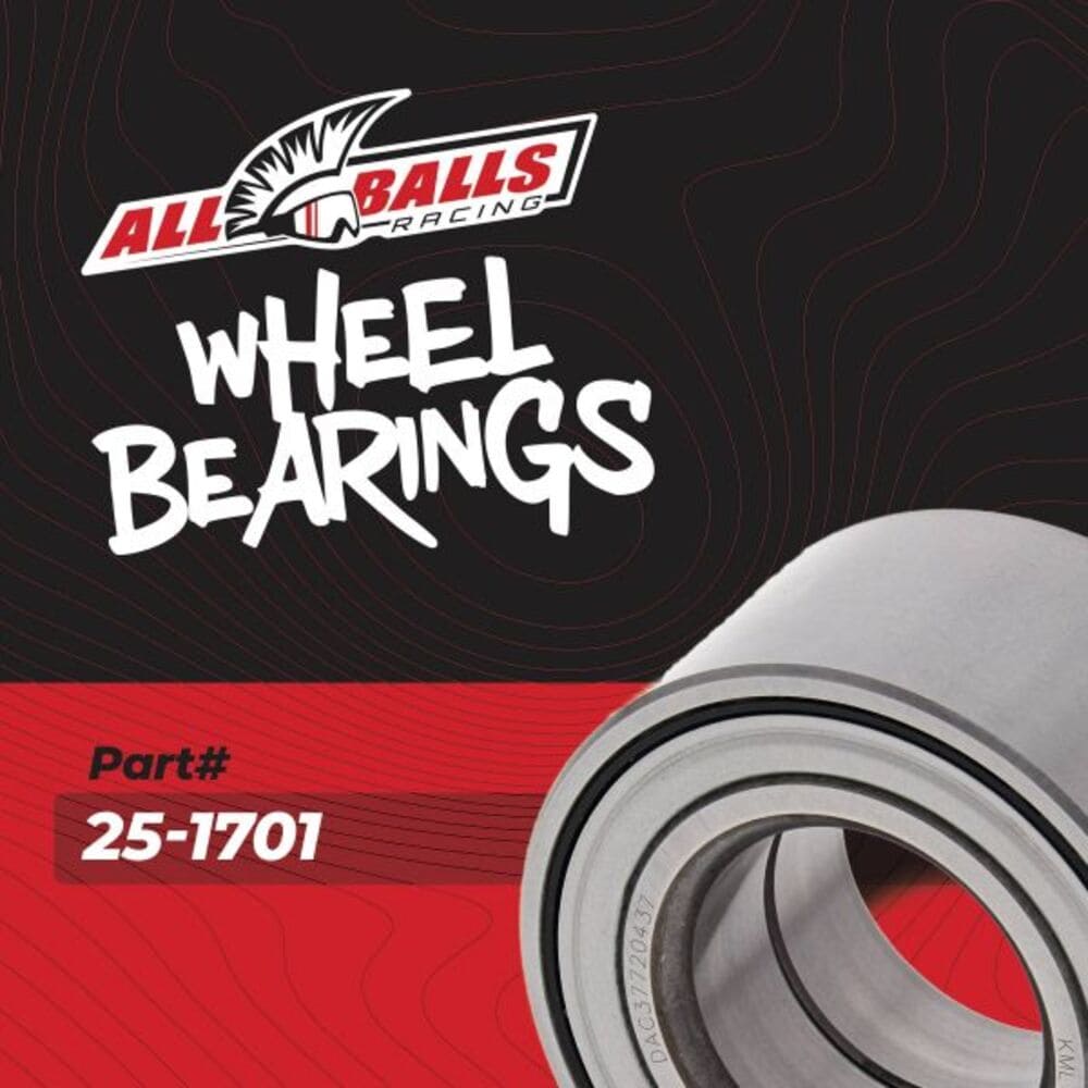 All Balls Racing Honda Pioneer Wheel Bearing Kit - 25-1701