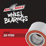 All Balls Racing '24-'25 Kawasaki Mule Pro FX 1000 Front Wheel Bearing Kit