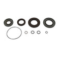 All Balls Racing Polaris Ranger XP 1000 Transaxle Seal Kit