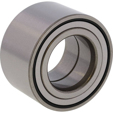 All Balls Racing Wheel Bearing Kit