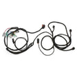 BRP '24-'26 Can-Am Maverick R Rear ACM Harness
