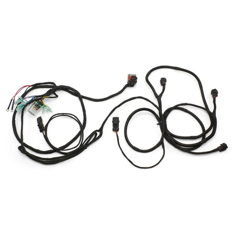 BRP '24-'26 Can-Am Maverick R Rear ACM Harness