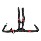 BRP Can-Am 4-Point Harness - Driver