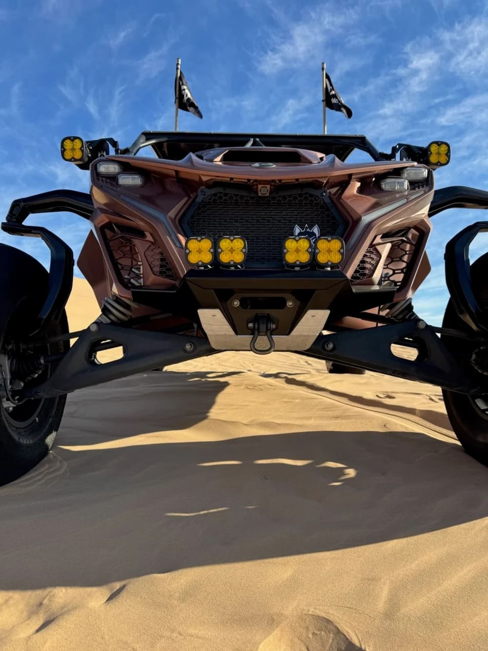 Chupacabra Offroad '24-'26 Can-Am Maverick R Grill