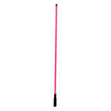 DragonFire Racing LED V2 Whip